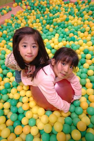 原宿で人気のミーアキャットカフェ